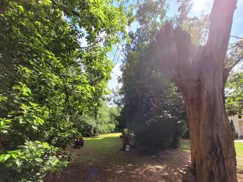 Terreno en Venta en Ranelagh, USD 120.000