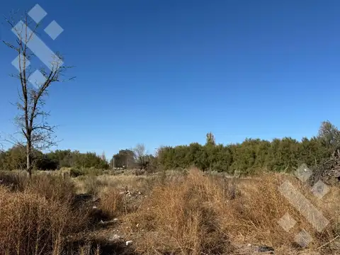 Terreno en Venta en General Roca, USD 15.000