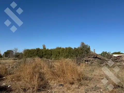 Terreno en Venta de 290,0 m2