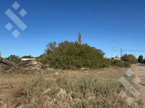 En Venta | Terreno de 290 m2 | Catriel | Rio Negro