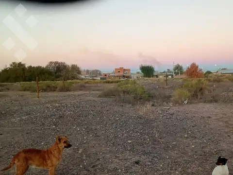En Venta | Terreno de 290 m2 | Catriel | Rio Negro