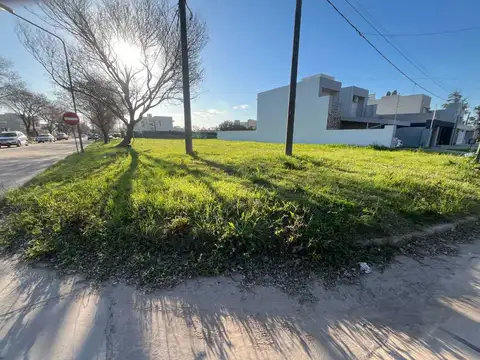 LOTE/B° PIZZURNO/VIAMONTE Y LOTUFO  