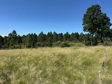 Terreno en Venta de 10089,0 m2