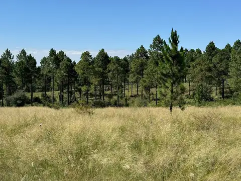 VENTA TERRENOS EN VILLA BERNA – FRENTE A LA RUTA