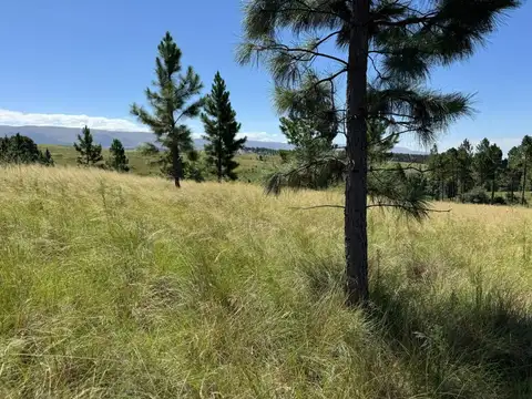 Terreno en Venta en Villa Sierras del Lago, USD 29.000