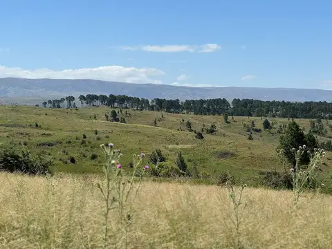 Terreno en Venta en Villa Sierras del Lago, USD 29.000