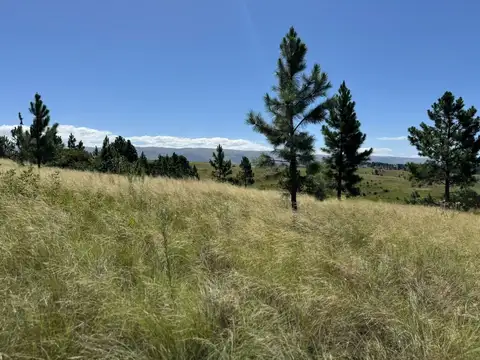 VENTA TERRENOS EN VILLA BERNA – FRENTE A LA RUTA