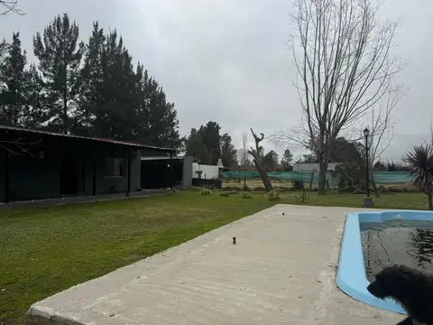 Manuel Dorrego(villa Adriana) 200
