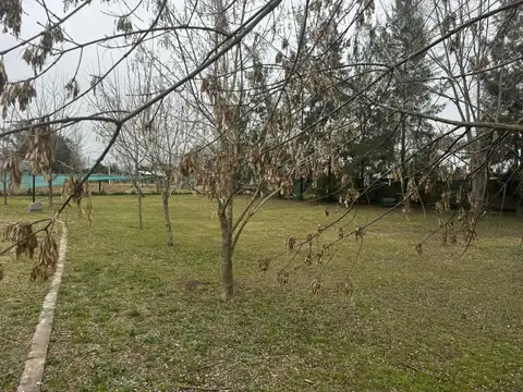 Manuel Dorrego(villa Adriana) 200