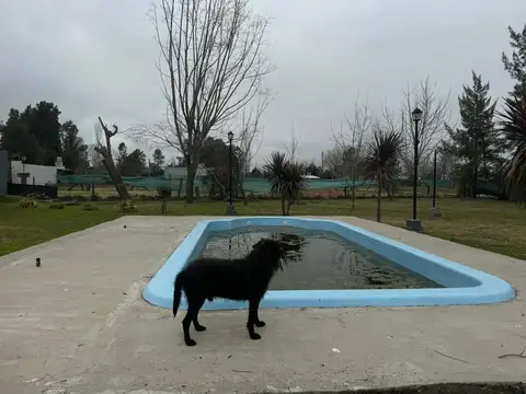 Casa quinta con pileta - Linda arboleda
