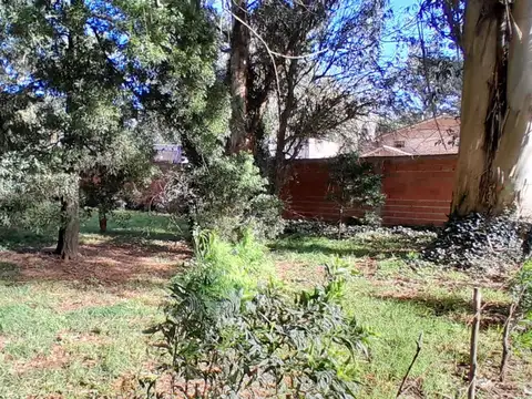 VENTA TERRENO 449 M2 - LAS DALIAS - MAR DEL PLATA