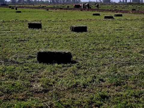 Campo en Venta de 20  ha