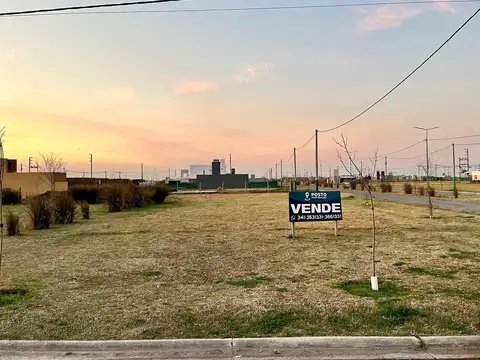 Av. Los Lapachos  - La Toscana (PIÑERO)