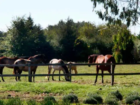 Lote en venta en Barrio El Campo Cardales Fincas Exclusivas OPORTUNIDAD