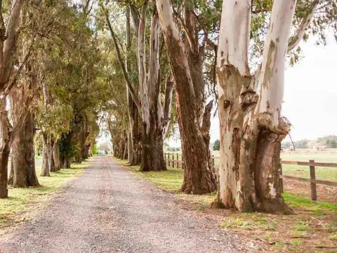 Terreno en venta en Barrio El Campo Cardales Fincas Exclusivas