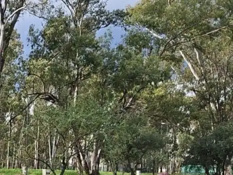 Terreno en venta en Numa, Nuevo Malagueño con escritura y servicios