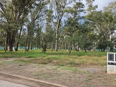 Terreno en venta en Numa – Nuevo Malagueño, entorno natural y excelente proyección