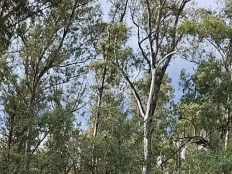 Terreno en Venta de 400,0 m2
