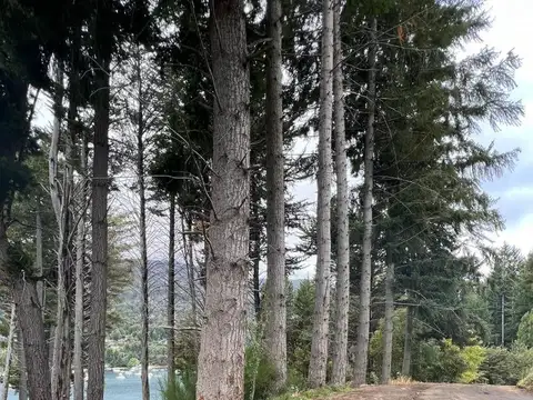 Excelente lote costa de lago Nahuel Huapi - Pnla Manzano