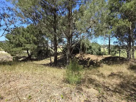 LOTE VENTA ECUESTRE COSTA ESMERALDA VISTA AL CAMPO