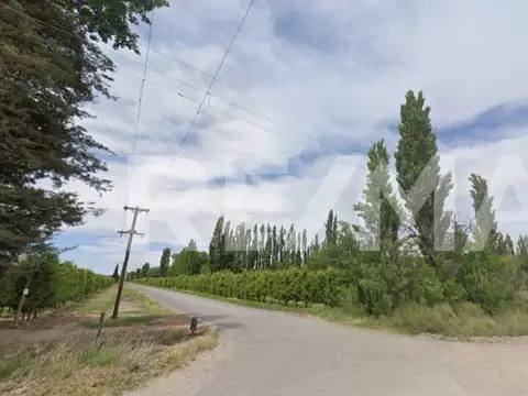 Chacra 100