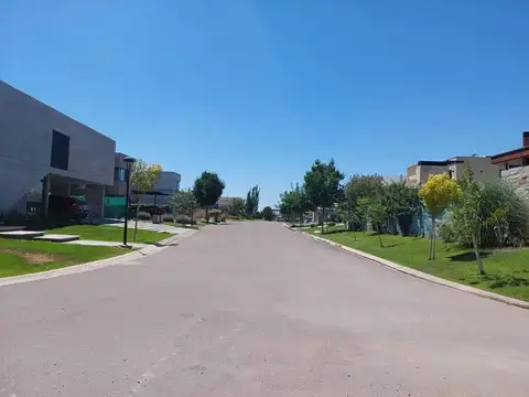 Consultar dirección