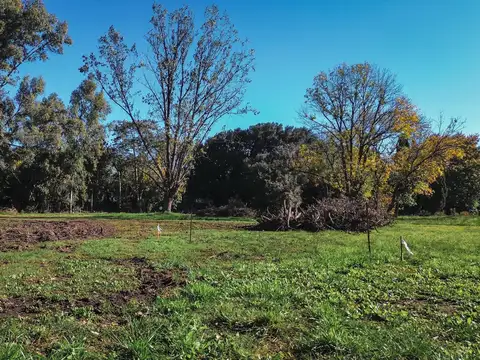 Terreno en Venta de 355,0 m2