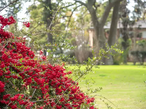 Terreno en Venta en Ibarlucea, USD 120.000