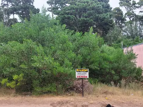 Excelente lote en zona residencial unifamiliar