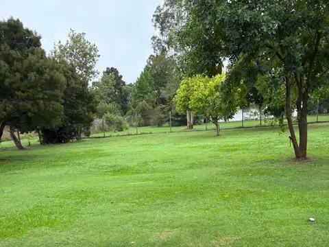 Quinta - Berisso