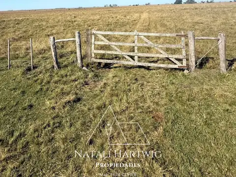 Campo Agrícola Ganadero