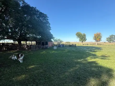 Campo en Venta de 80  ha