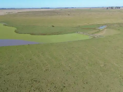 Campo Agrícola Ganadero