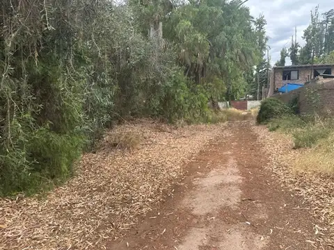 Terreno en Venta en Lujan de Cuyo, USD 93.000