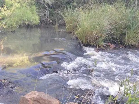 VENTA CAMPO FORESTAL 68ha VALENTINES DEPTO DE 33