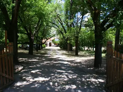 Camino Al Huaico