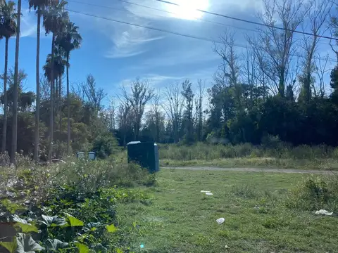 Avellaneda y el Río Carcarañá