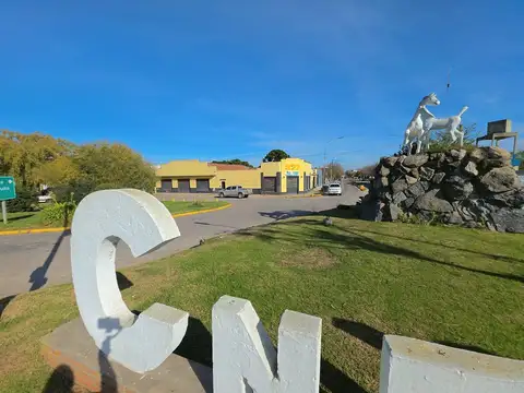 Local en Alquiler en Coronel Vidal, USD 2.600