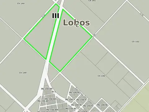 23.5 HAS IDEAL LOTEO EN LOBOS DENTRO DE LA URBANIZACIÓN