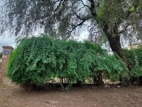 Vendo Terreno Villa Warcalde