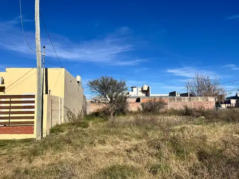 L. Ferrando 1300