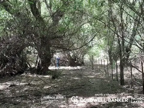 Epuyén, El Hoyo
