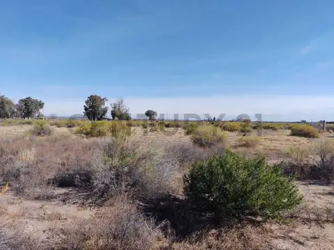 Ruta 71