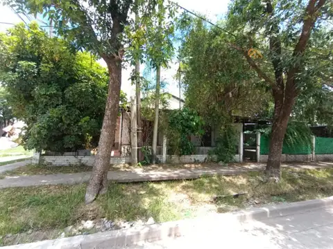Amenabar 504