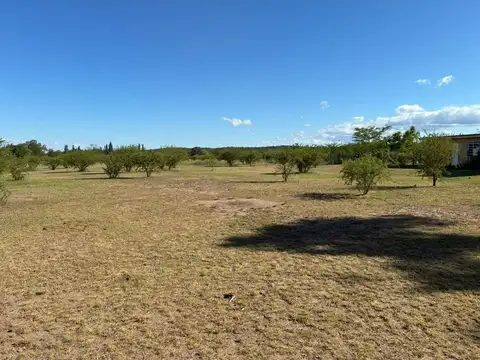 LA GRANJA CALLE LOS ALGARROBOS S/N