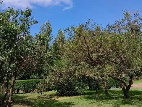 Terreno en venta - 862.5mts2 - Ernestina, 25 De Mayo