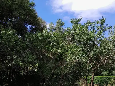 Terreno en Venta en Ernestina, USD 30.000