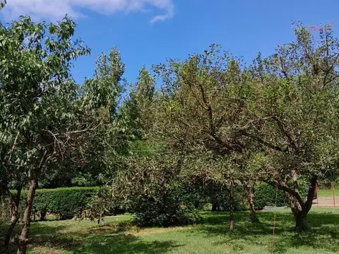 Terreno en venta - 862.5mts2 - Ernestina, 25 De Mayo