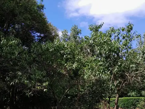 Terreno en Venta en Ernestina, USD 30.000