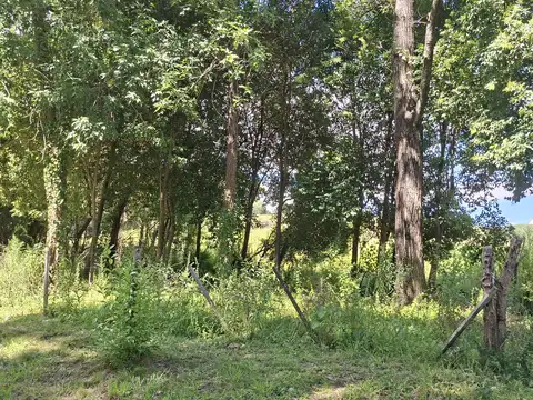 Terreno en Venta 35  mts Frente